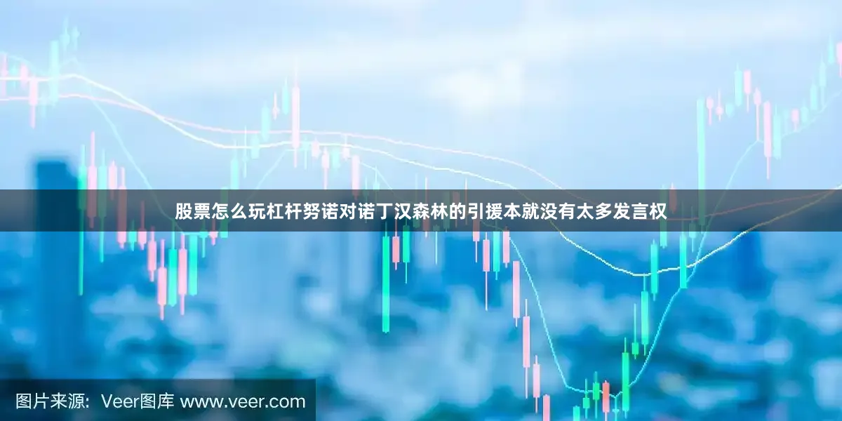 股票怎么玩杠杆努诺对诺丁汉森林的引援本就没有太多发言权